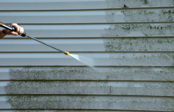 Best Solar Panel Cleaning  in Doolittle, TX